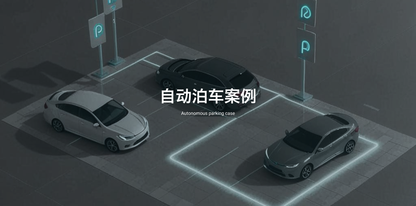 泊车案例